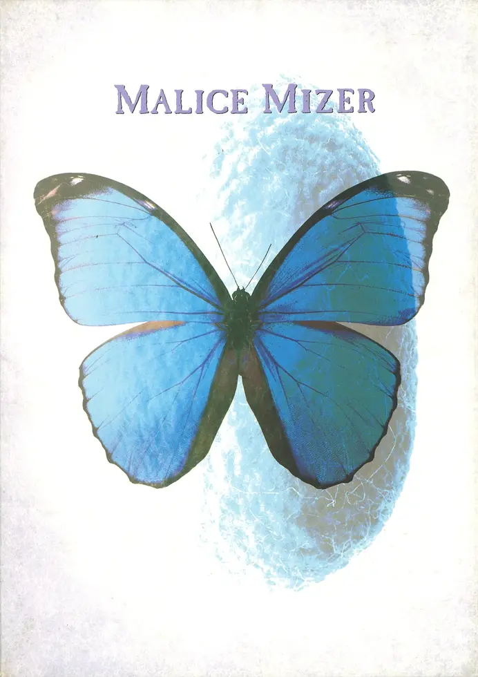 Miz様 31D0xBOeyfL._UF894,1000_QL80_.jpg